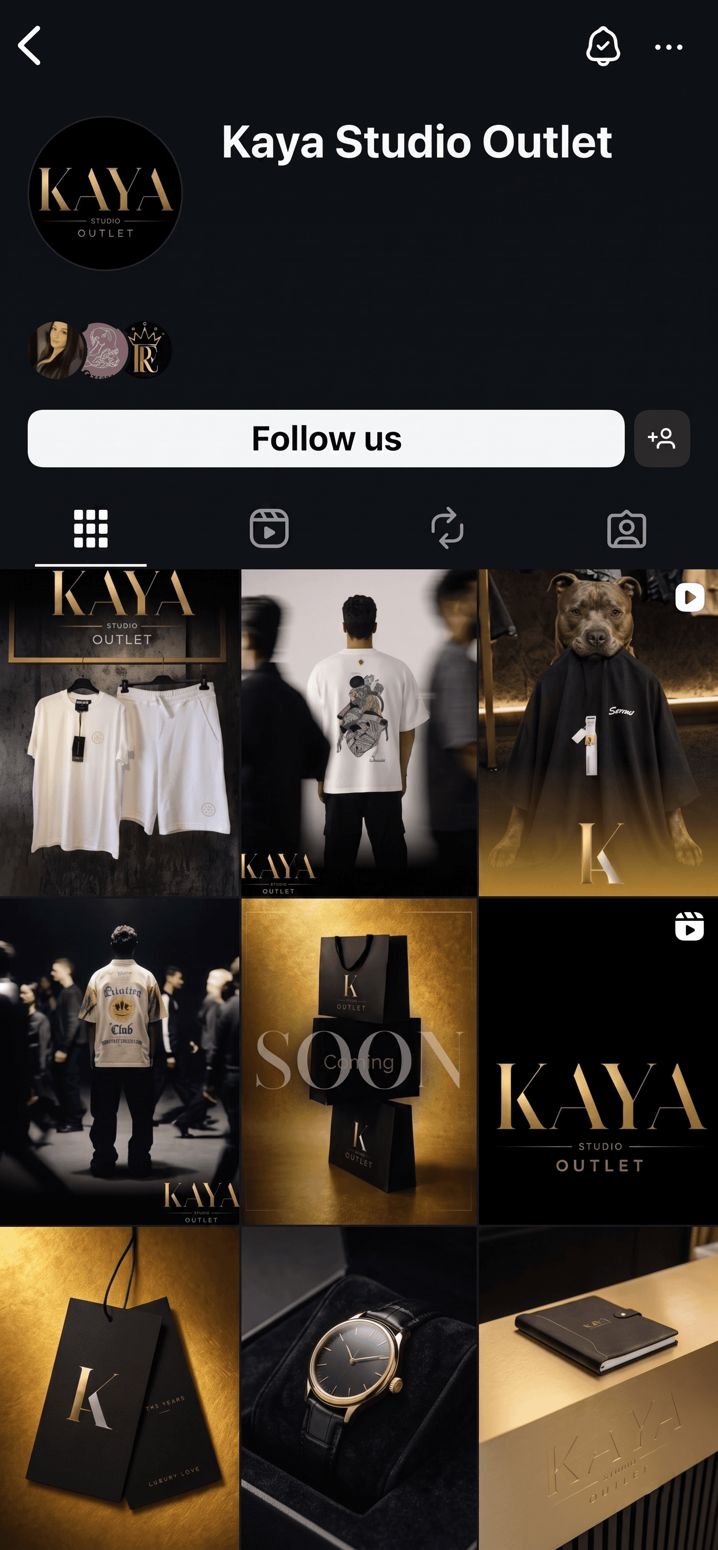 Instagram profile preview