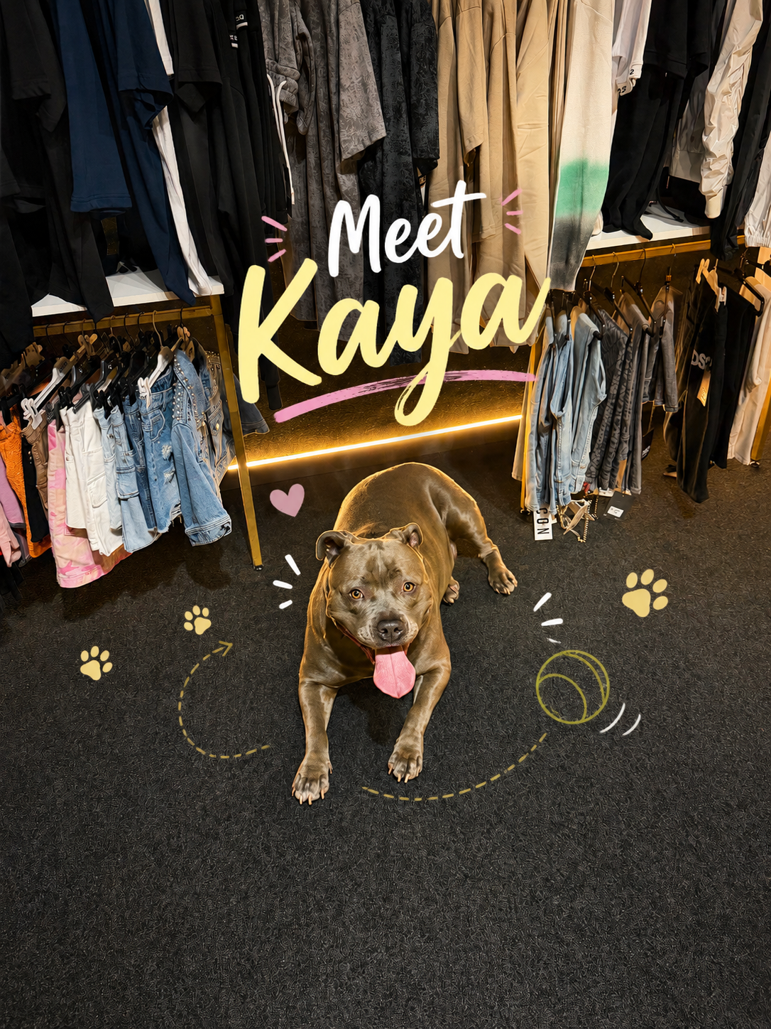 Meet Kaya